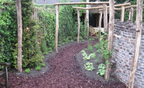 Janssen Beek en Donk tuin met Robinia pergola (11)