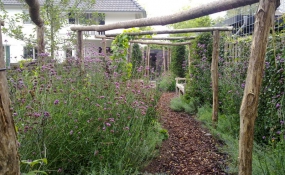 Janssen Beek en Donk tuin met Robinia pergola (13)