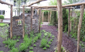 Janssen Beek en Donk tuin met Robinia pergola (9)