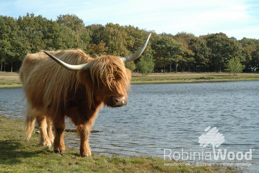 rw16_09_16_1-bron-www-vvvdegrooteheide-nl